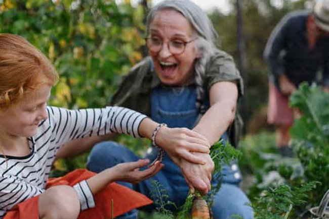 5 daily habits for a healthier and happier life