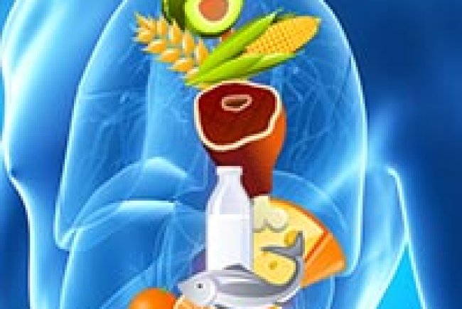 The Role of Diet in Chronic Disease Management and Prevention