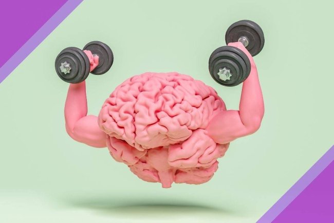 How to Maintain a Strong Brain Throughout Your Life with Neuroplasticity and Cognitive Fitness