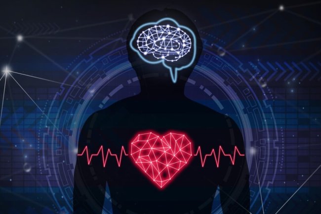 The Heart Is Where Brain Health Begins: What Science Has to Say About Lifestyle Choices That Can Prevent Dementia