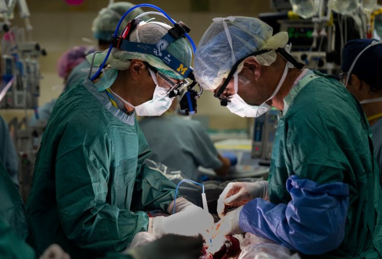 Have We Lost Faith in Medical Professionals? An in-depth examination of skepticism, disinformation, and the brittleness of public trust