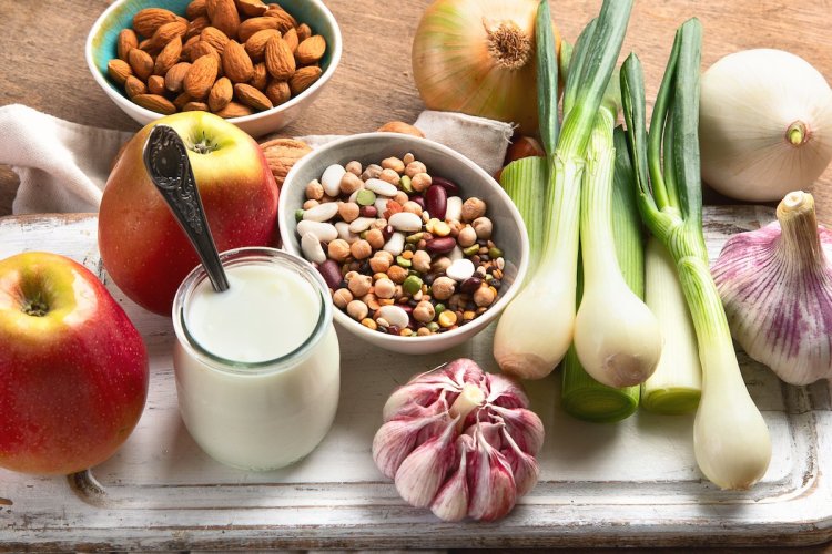 The Relationship Between Diet and Microbiota and How It Affects Disease Risk