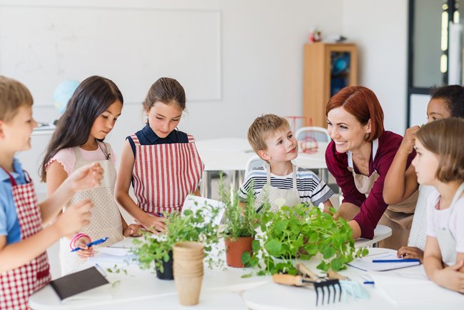Cleaner Living: Why Choosing Plants Is Kinder to Your Body and the Planet