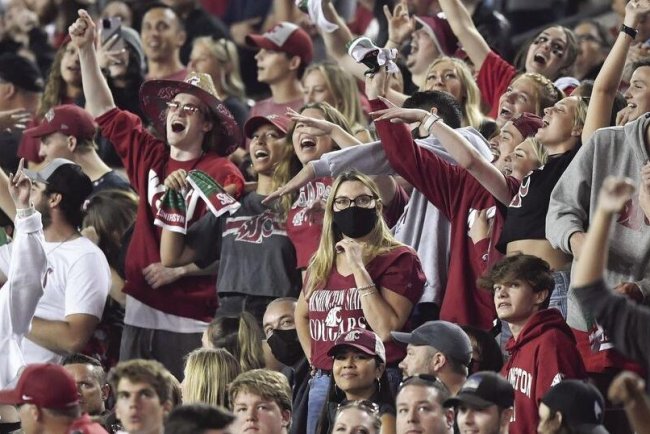 Can Watching Sports Be Bad for Your Health? A Look Beyond the Cheers and Heartbreak