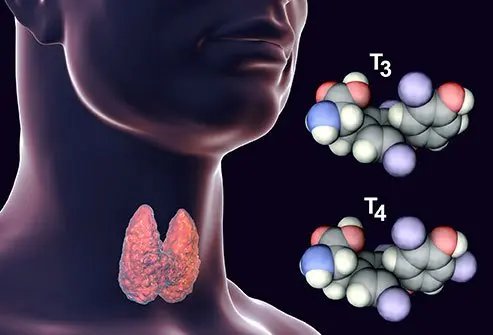 Is your thyroid gland functioning sufficiently to produce the necessary hormones? Here's How to Know.