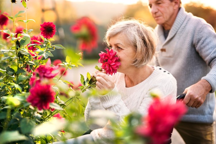 Why Your Sense of Smell Might Matter More Than You Think