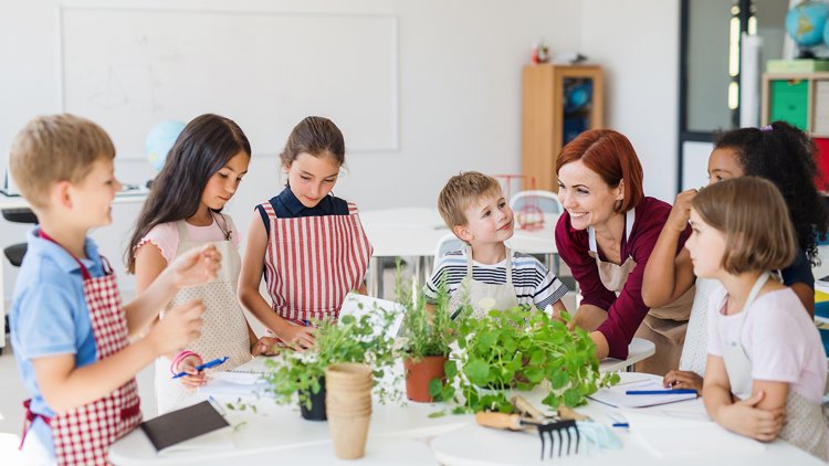 Cleaner Living: Why Choosing Plants Is Kinder to Your Body and the Planet