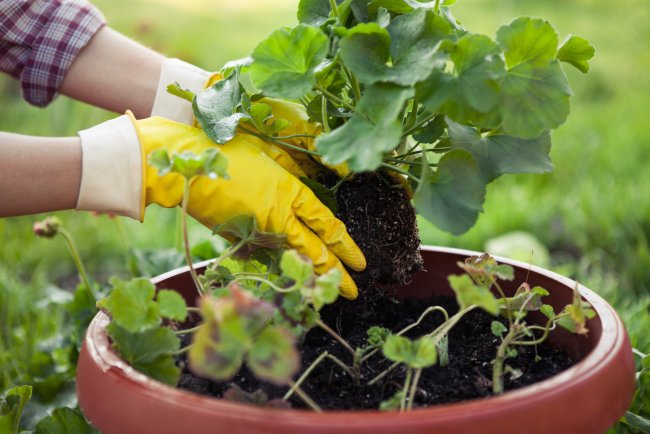 Move More Every Day: The Small, Life-Changing Secret to Escaping a Sedentary Life